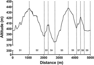 Performance and Micro-Pacing Strategies in a Freestyle Cross-Country Skiing Distance Race